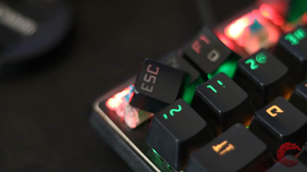 Ducky Keyboards