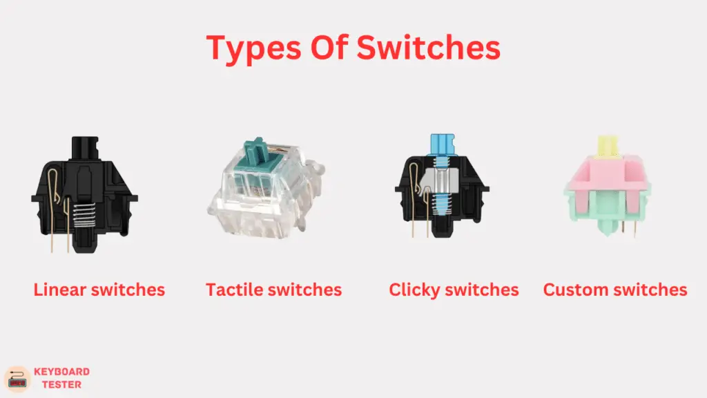 Types Of Switches