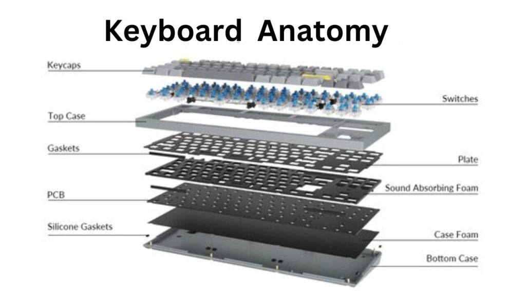 Keyboard layout with keycaps, keys, switches, plate, case, PCB and all other parts